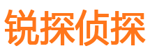 长江新区侦探公司